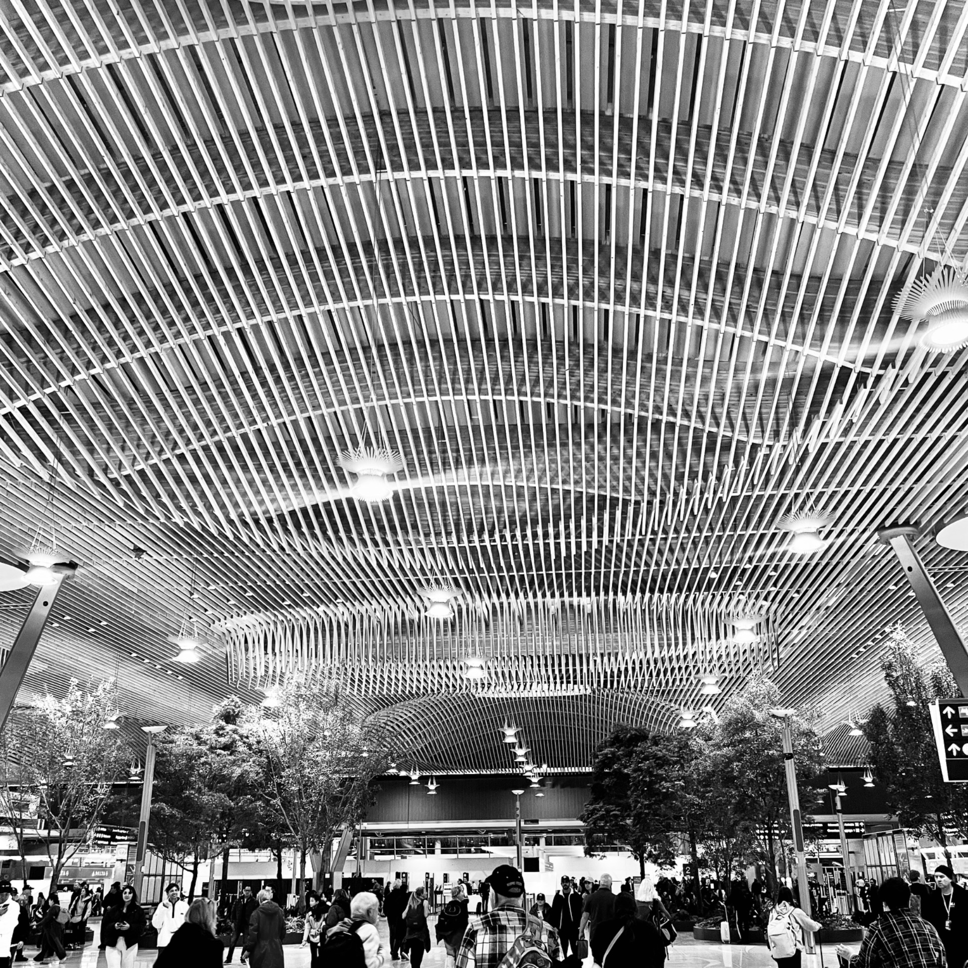 The iconic wood-slat ceiling of Portland International Airport, in black and white